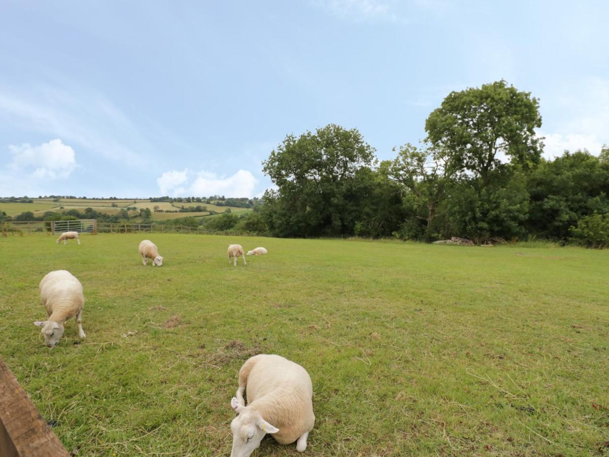 Holmer Farm Leominster Kültér fotó